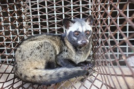 WCS Statement in Support of the Global Wildlife Trade Biosecurity Act Introduced by Congresswoman Grace Meng (D–NY) and Congressman Jeff Fortenberry (R-NE)